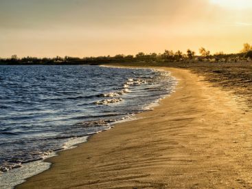 Coronavirus : pourra-t-on bronzer sur les plages après le 2 juin ?