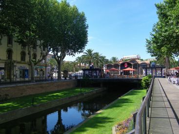 Municipales 2020 : Louis Alliot élu à Perpignan