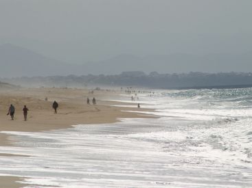 Covid : les Pyrénées-Atlantique, l'exception française dans la hausse des contaminations