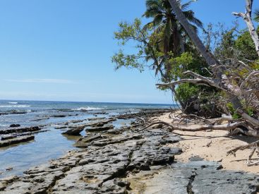 Covid : la vaccination obligatoire pour les adultes et touristes en Nouvelle-Calédonie