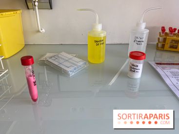 Escape Gènes, l'escape game qui sensibilise à la recherche génétique à l'Institut Imagine