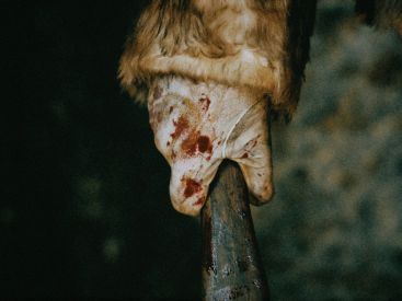 Halloween 2023 : Massacre à Noël, l'expérience horrifique et sanglante signée Deep Inside