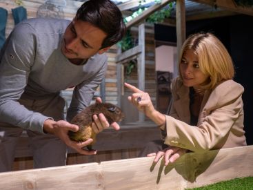 Le Monde de Noé : la première expérience immersive dans le monde animal à Paris