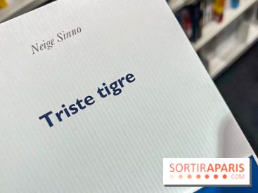 Prix Femina 2023 : "Triste tigre" de Neige Sinno récompensé, un roman qui brise le silence