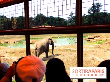 Camion Safari : une visite guidée dans les coulisses de Thoiry