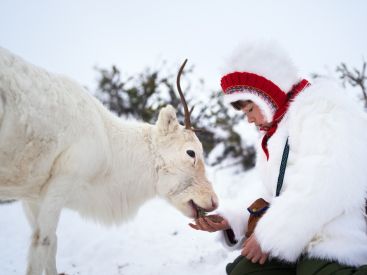 Stolen : thriller poignant sur l'héritage Sami, d'après le livre d'Ann-Helén Laestadius, sur Netflix