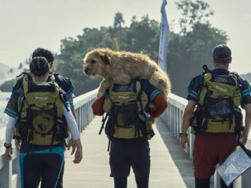 Arthur the King, une aventure entre Mark Wahlberg et son fidèle compagnon à pattes sur Prime Video