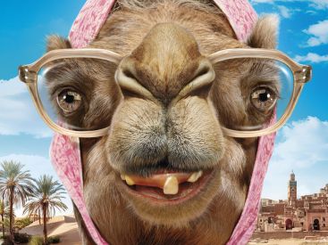 Les Bodin’s partent en vrille : le duo comique de retour au cinéma en mars 2025