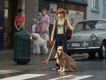 [Télé] Boule & Bill 2 : Les nouvelles aventures de Boule et son fidèle Bill sur TFX