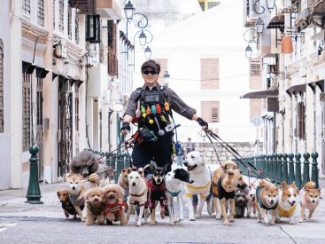 The Shadow’s Edge : Jackie Chan dans un thriller d’action