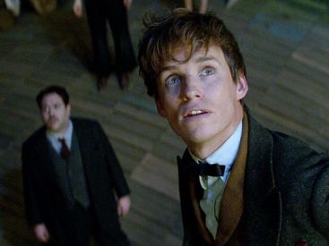 Les Animaux fantastiques : Dan Fogler, Eddie Redmayne