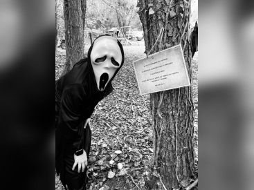 Halloween 2026 à Malowe Nature : chasse aux sorcières en famille à Rosay