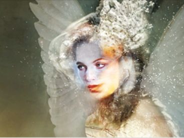 Mon premier festival d'opéra