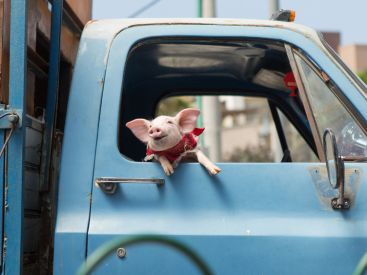 Holy Lands de Amanda Sthers : gagnez vos places ! 