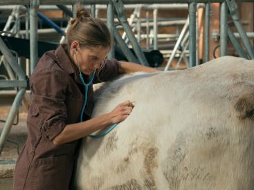 Les vétos : bande-annonce et invitations