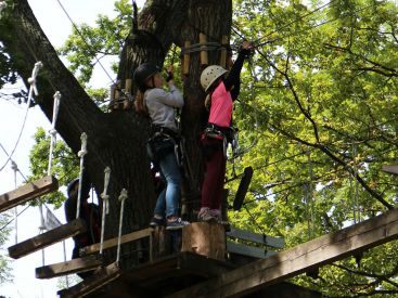 Accro des arbres à la base de loisirs du port aux cerises