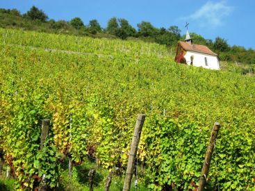 Bourgogne-Franche-Comté : évolution quotidienne de la situation sanitaire dans la région