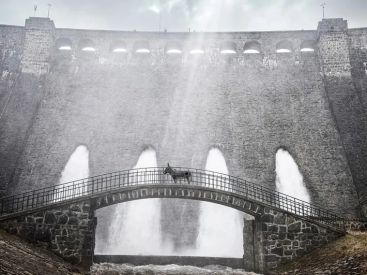 EO (HI-HAN) de Jerzy Skolimowski