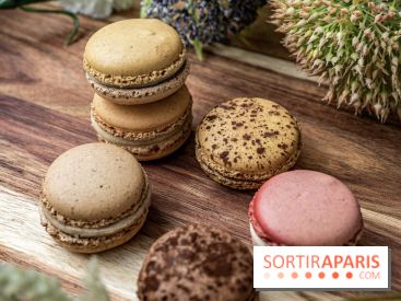 Pierre Hermé Macaron