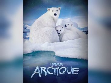 arctique