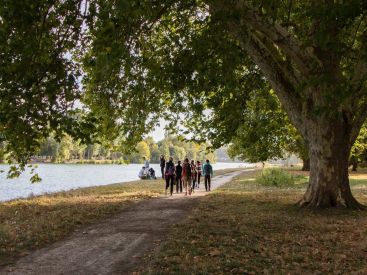 Coronavirus : peut-on encore se promener en forêt ?