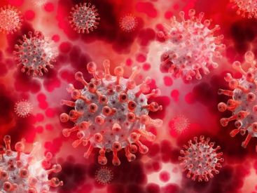 Coronavirus : Santé Publique France estime que "la circulation du virus tend à progresser" 