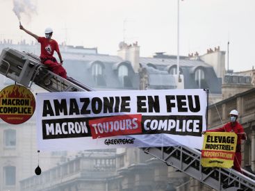 Paris : Greenpeace dénonce "l'hypocrisie" de Macron contre la déforestation devant l'Élysée