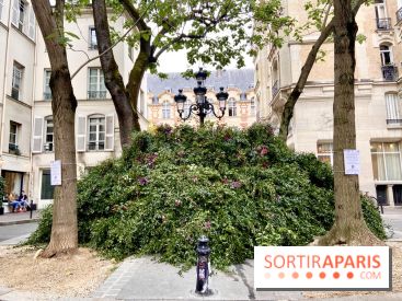 Paris : une première "forêt urbaine" va voir le jour à Montparnasse avant 2024