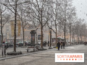 La Neige à Paris - IMG 2832