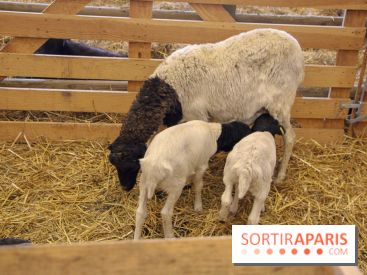 Salon de l'agriculture 2018