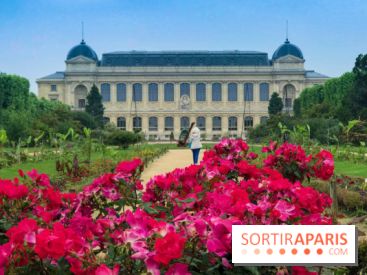 Base de données LaurentP