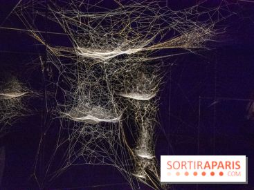 Base de données LaurentP