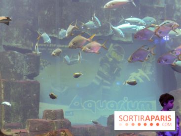 Les 60 ans de LEGO® à l'Aquarium de Paris