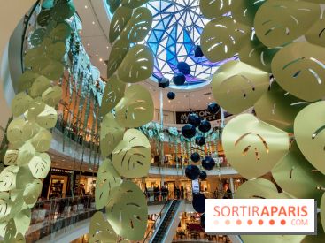 Exposition Monstera Dubia à Beaugrenelle