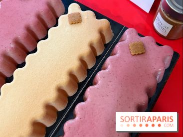 Les bûches de Noël 2022 de Benoit Castel