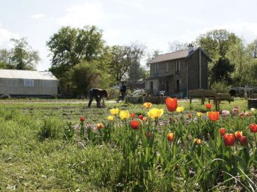 V’île Fertile – Jardin d’agronomie tropicale, Bois de Vincennes