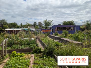 Terre Terre, la ferme-guinguette qui pousse au bord du canal à Aubervilliers (93)