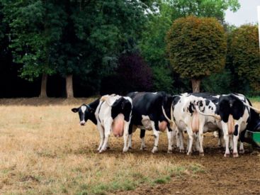 Festival Sortons l'Agriculture du Salon 2019