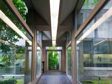 Visites guidées et animations pour toute la famille au Musée de Préhistoire d'Ile de France