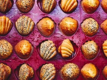 La recette des madeleines de Benoît Castel