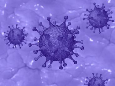 Coronavirus : Des traces du virus retrouvées dans du sperme