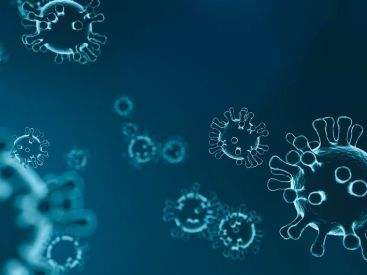 Le Coronavirus a infecté 4,4% de la population française, selon l'Institut Pasteur