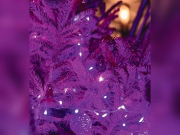 Menu de Noël 2020 et du Nouvel An 2021 du Nolinski à emporter