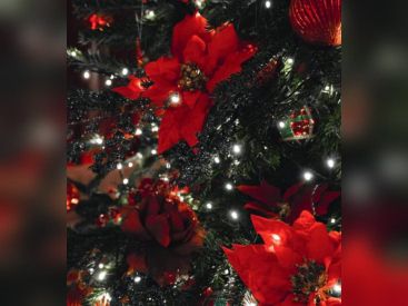 Menu de Noël 2020 et du Nouvel An 2021 du Sinner à emporter