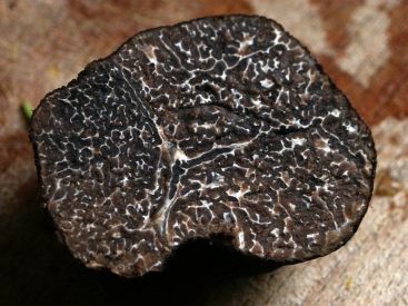 Le marché de la truffe noire revient à Courbevoie