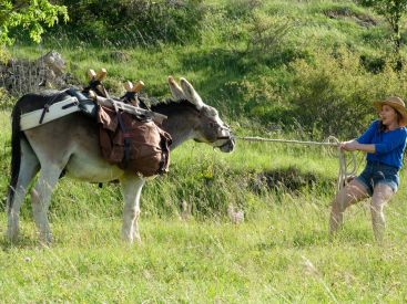 Antoinette dans les Cévennes : l'affiche et les premières photos
