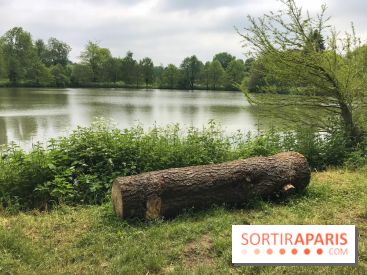 L'Arboretum de Versailles - Chevreloup
