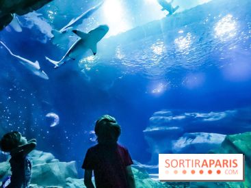 Loup préserve les océans à l'Aquarium de Paris, les photos