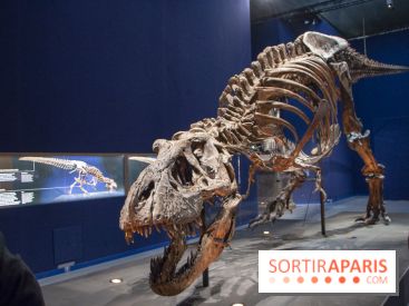 Un T-Rex à Paris : les photos