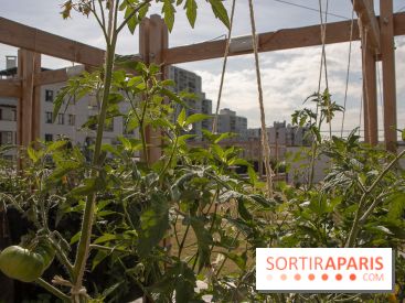 Sous les Fraises & So Ouest inaugurent la première ferme maraichère urbaine à Levallois-Perret : les photos